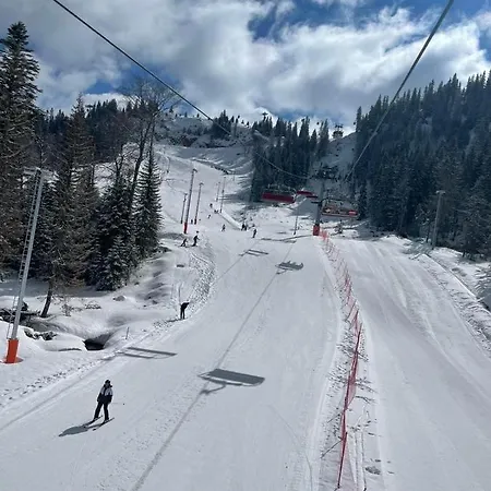 Zaric - Snjezna Dolina Apartment *